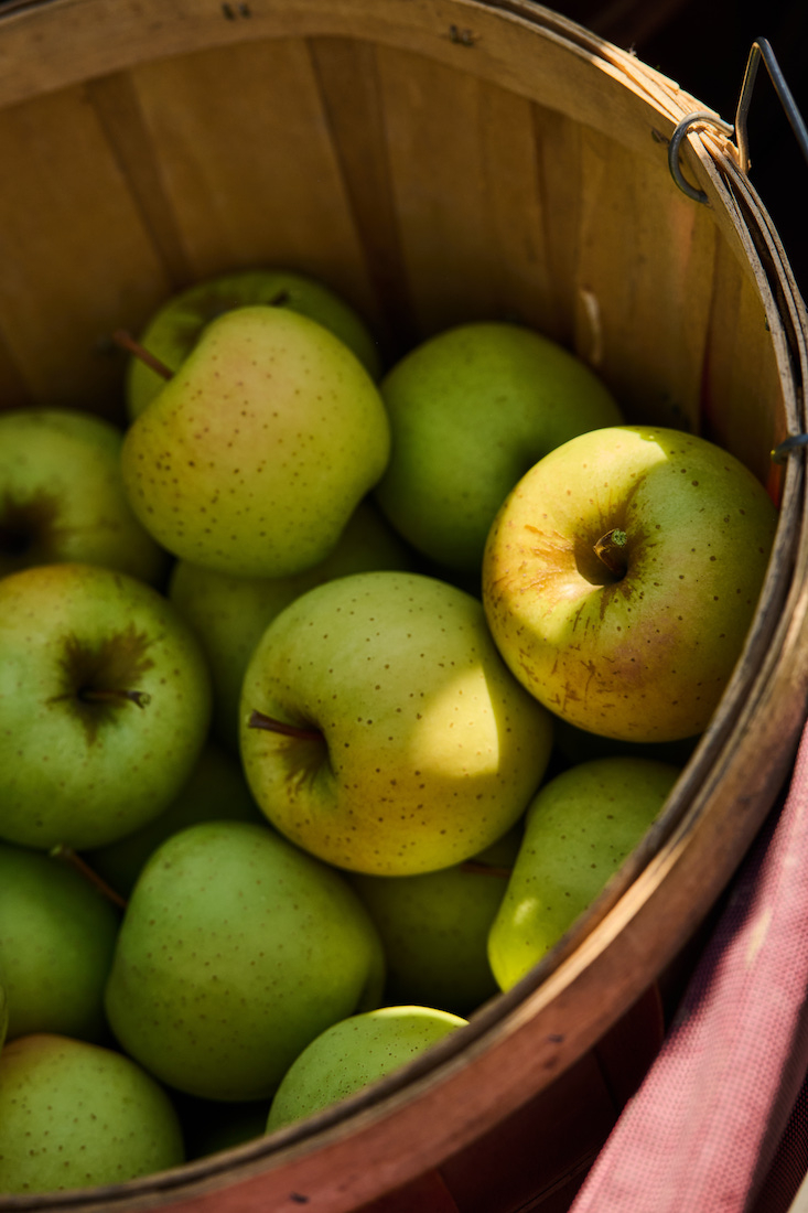 Sarah Flotard - Seattle Based Commercial Lifestyle Food And Beverage Photographer bucket of apples