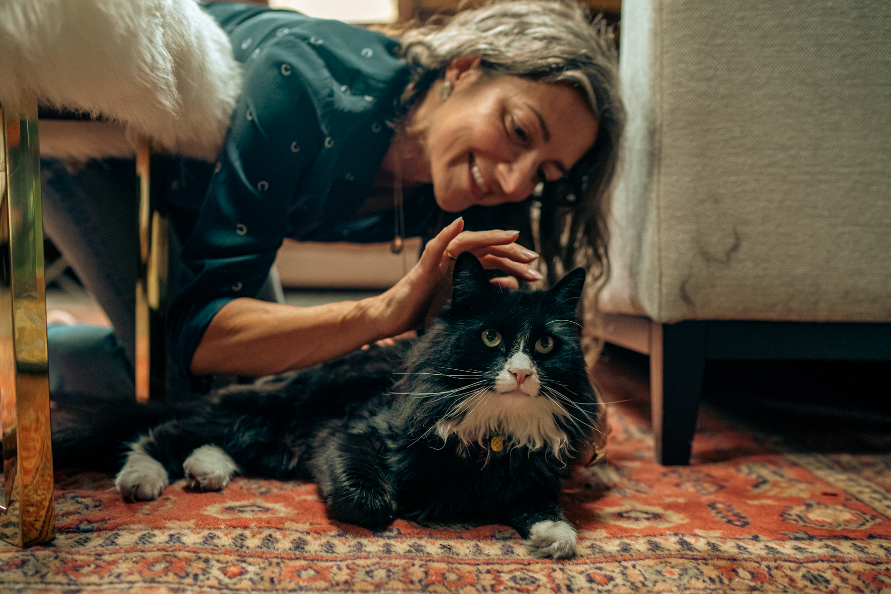 Black and white Mane coon 