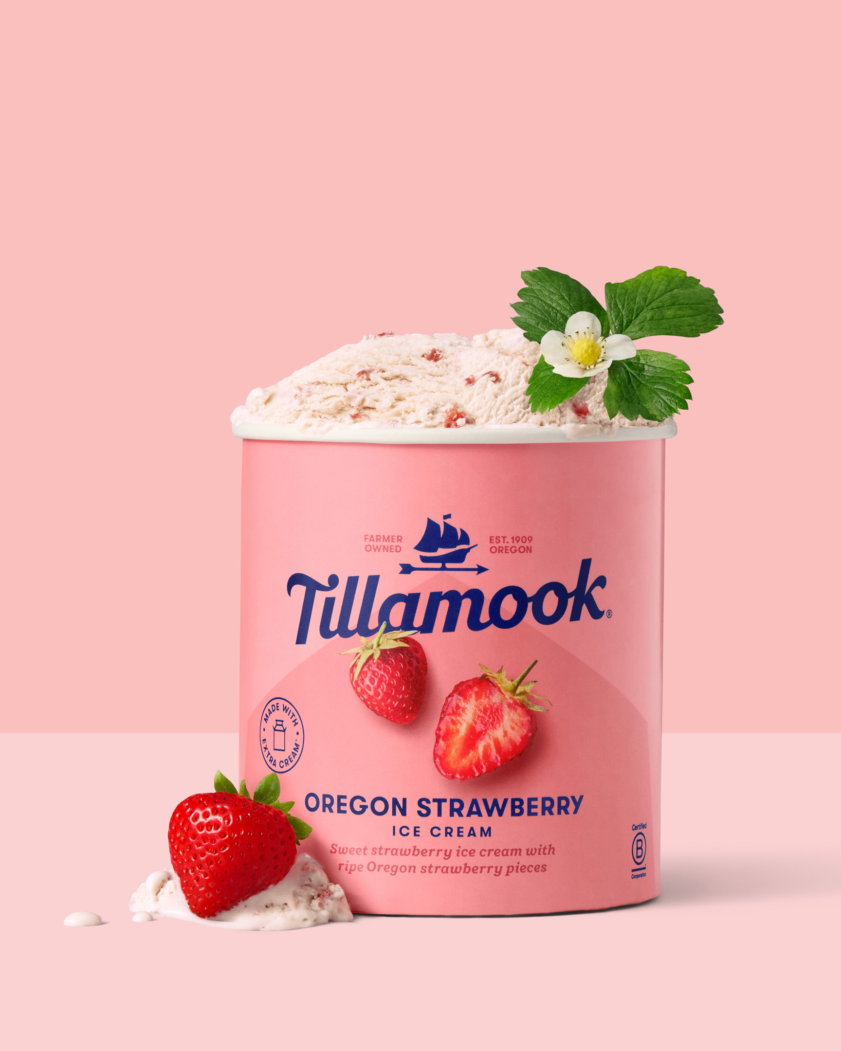 tillamook oregan strawberry 