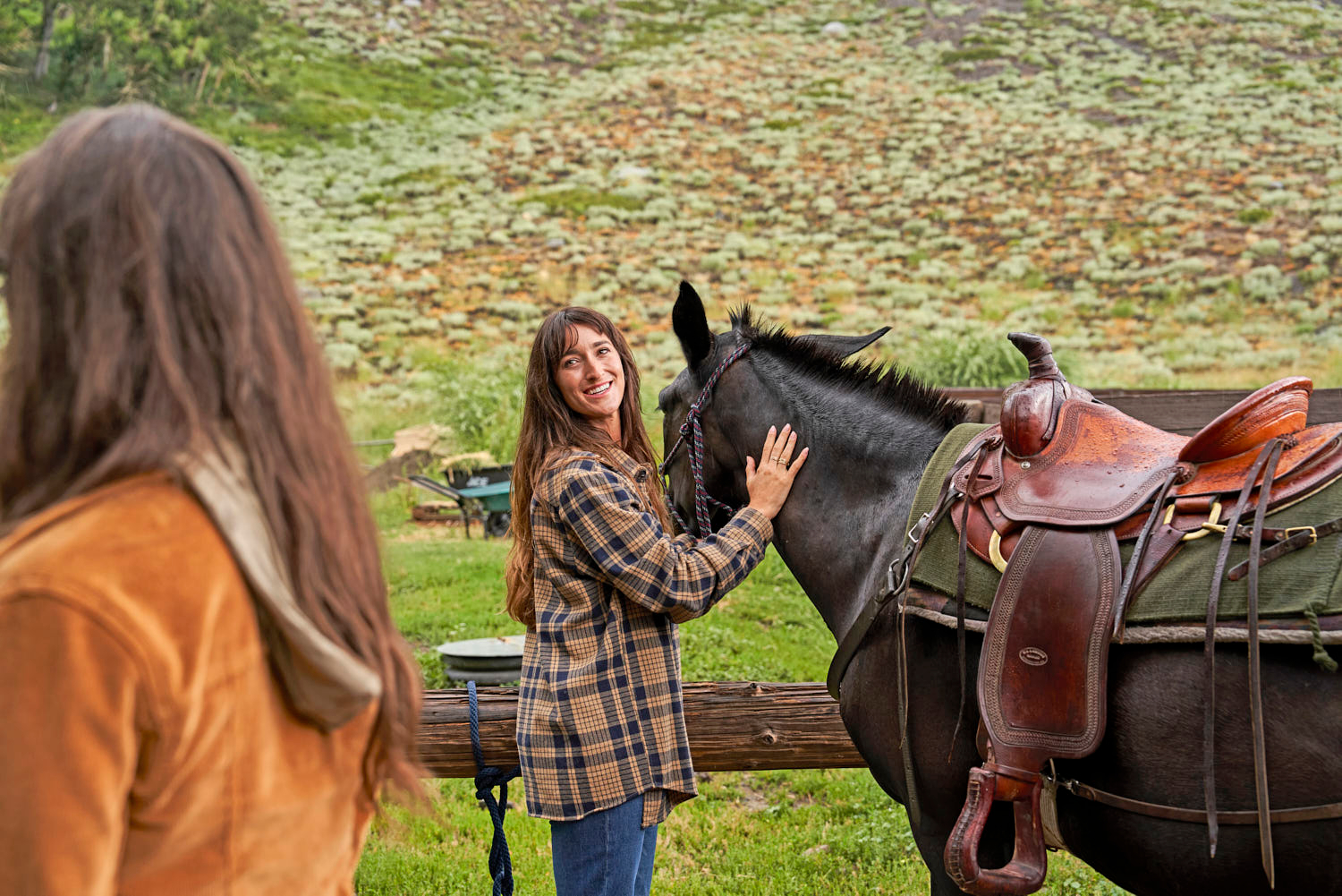 horses at the outbound hotel 