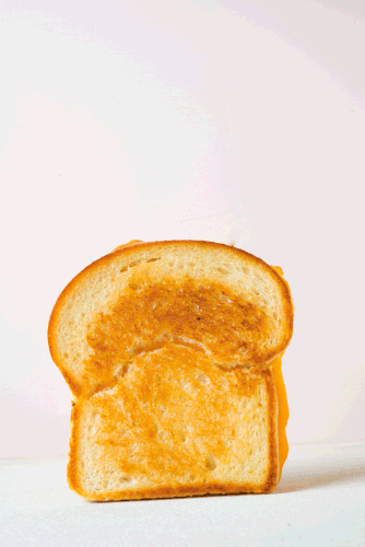 Grilled Cheese GIPHY