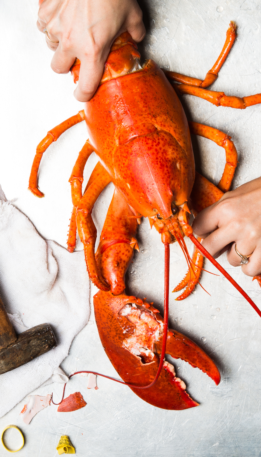 Seafood delicacy, lobster and butter, mallet Fresh cooked lobster