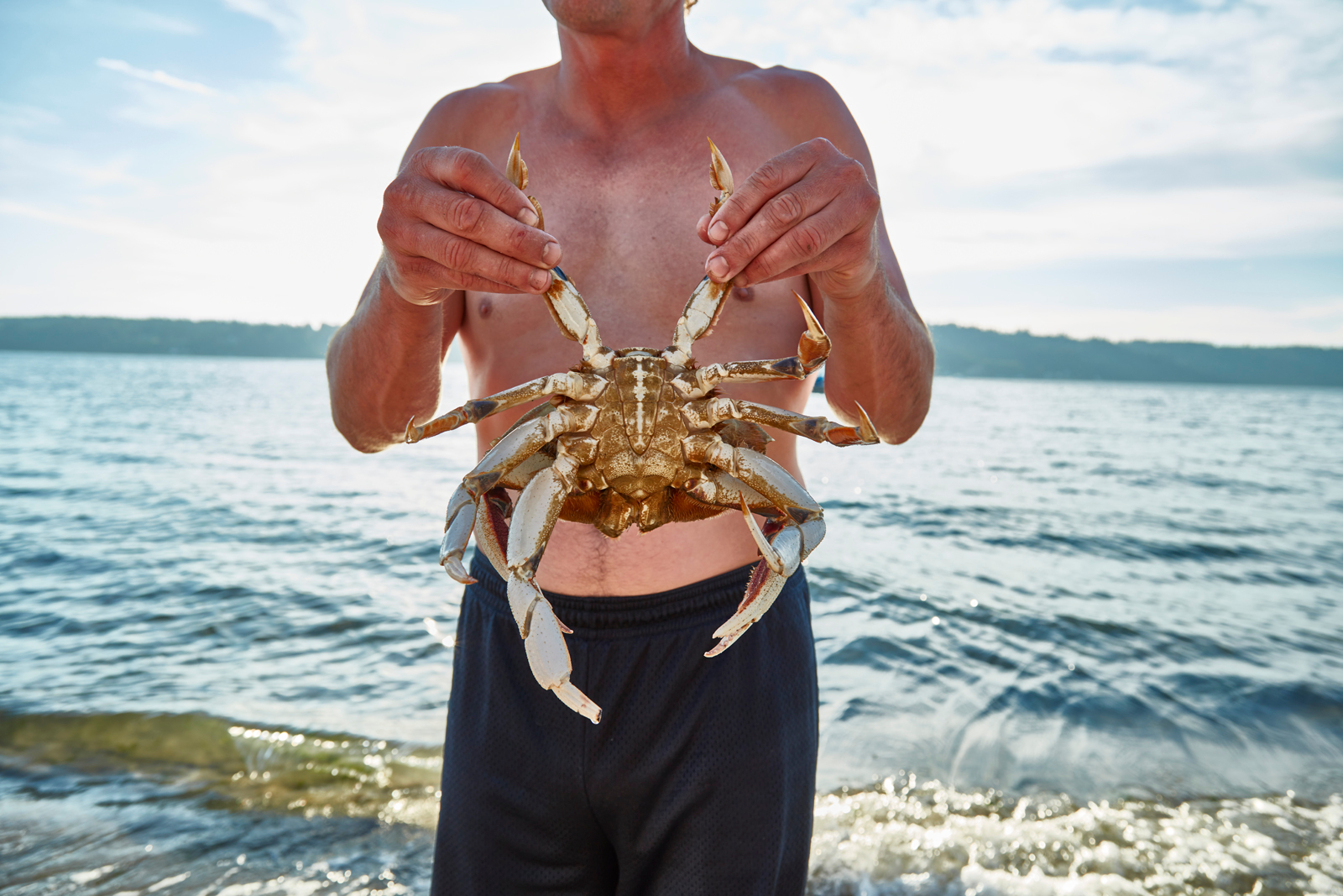 Grasping rear crab legs 