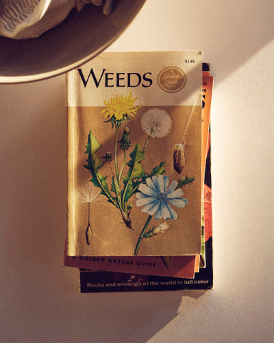 nature book stack 