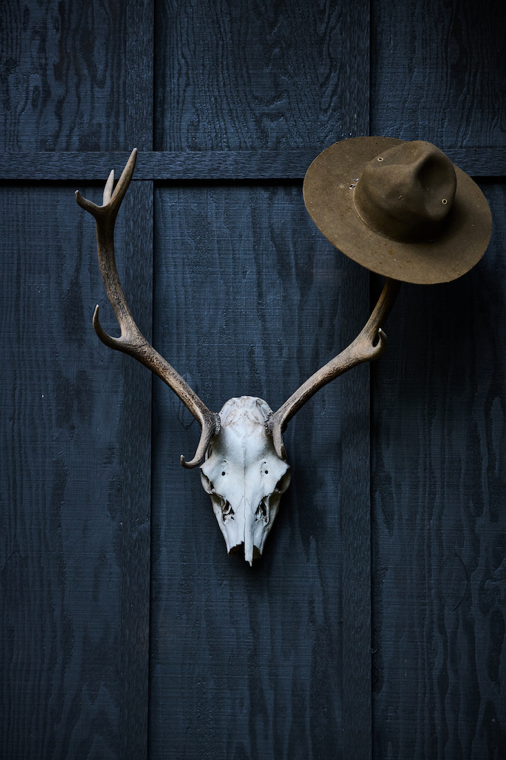 deer head and hat