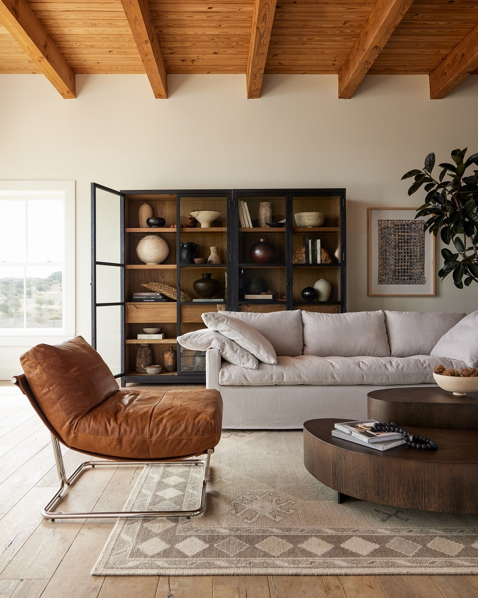 Cozy modern Living room