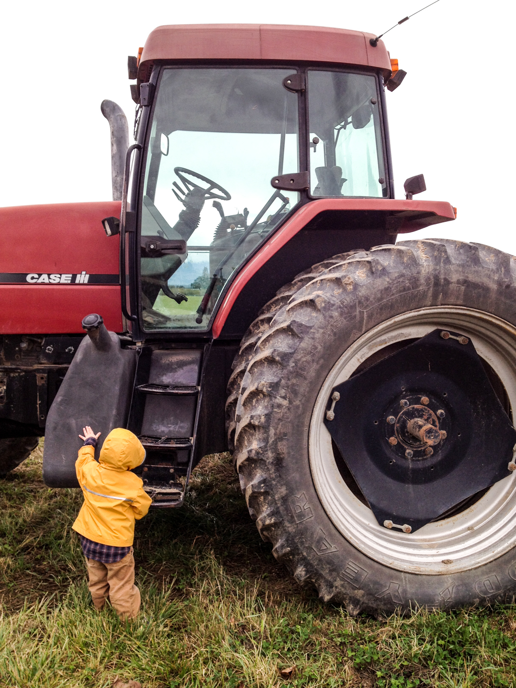 Child fascinated by case tractor 