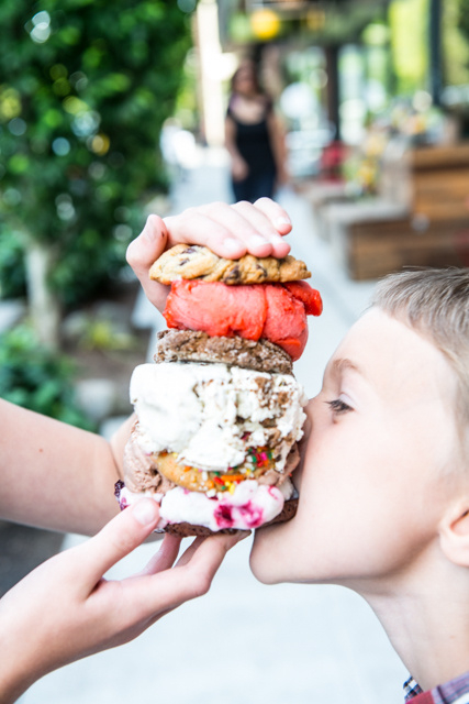 Towering ice cream sandwich with chocolate chip, molasses and sprinkle cookies 