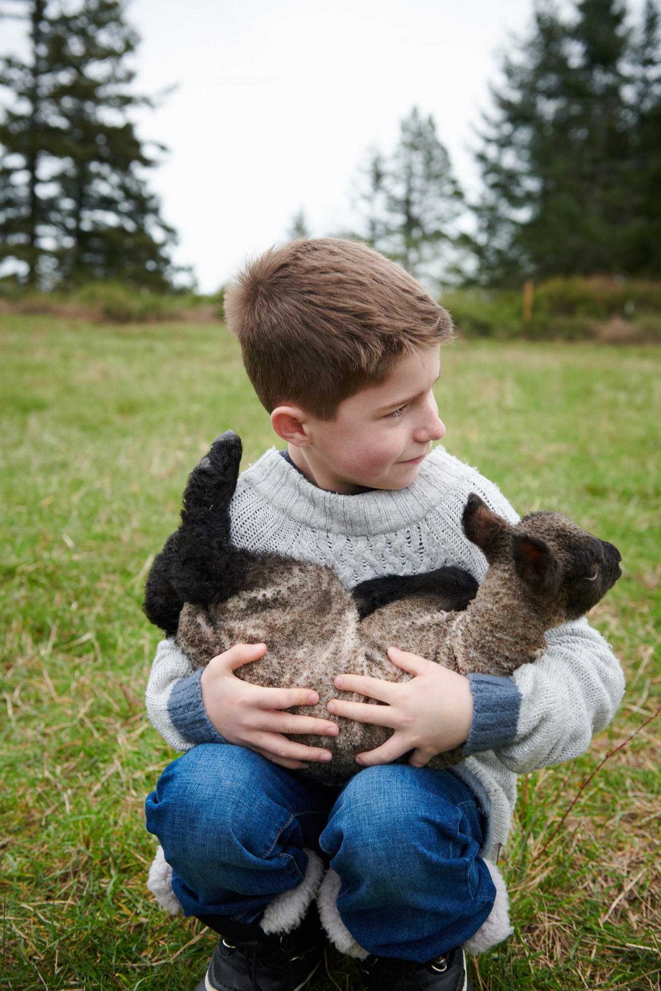 Boy holding baby sheep calf
