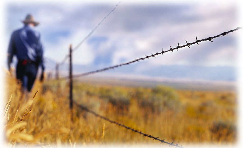 1barbwire_fence_copy