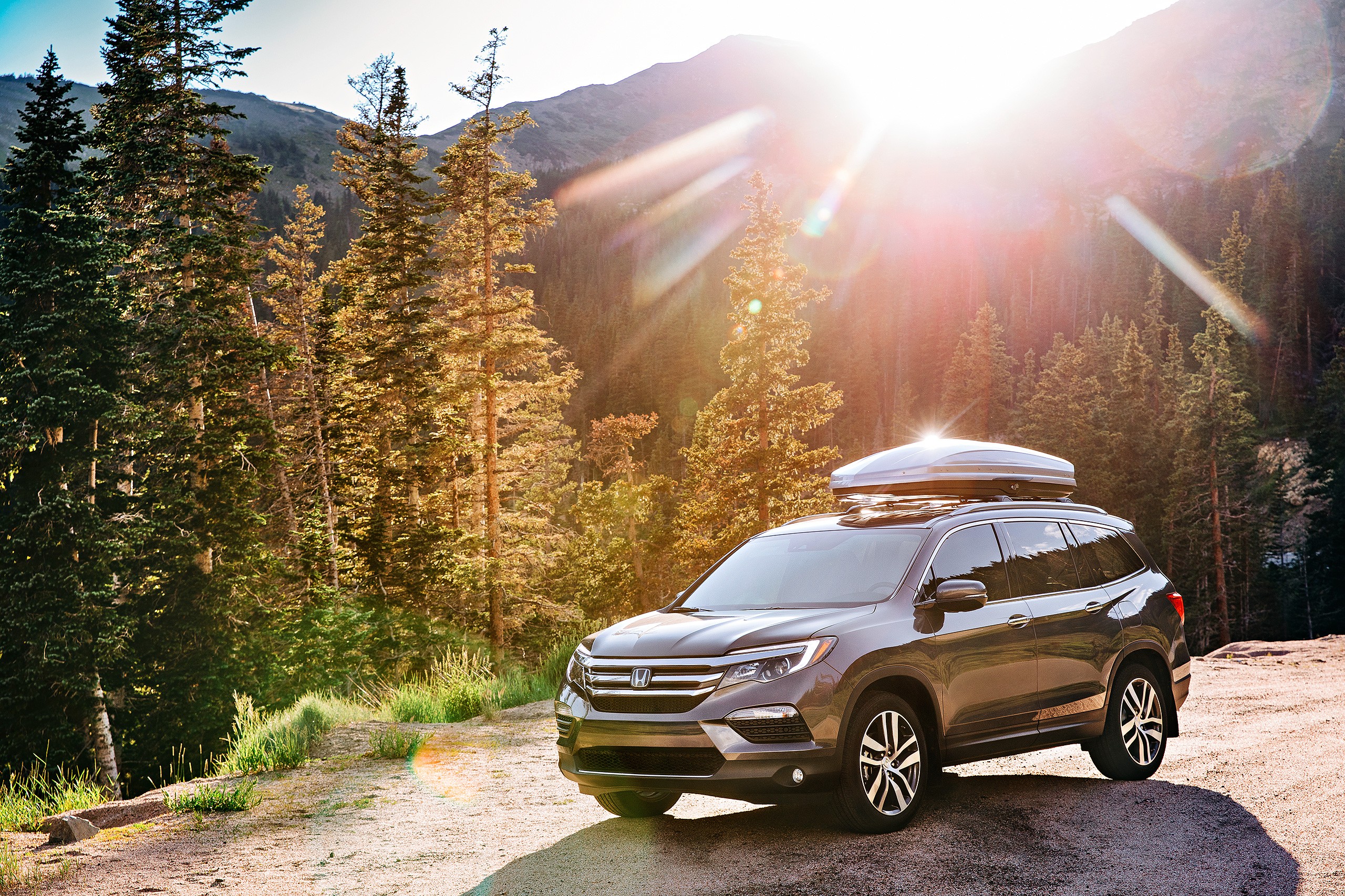 Photographer: Geoff Johnson