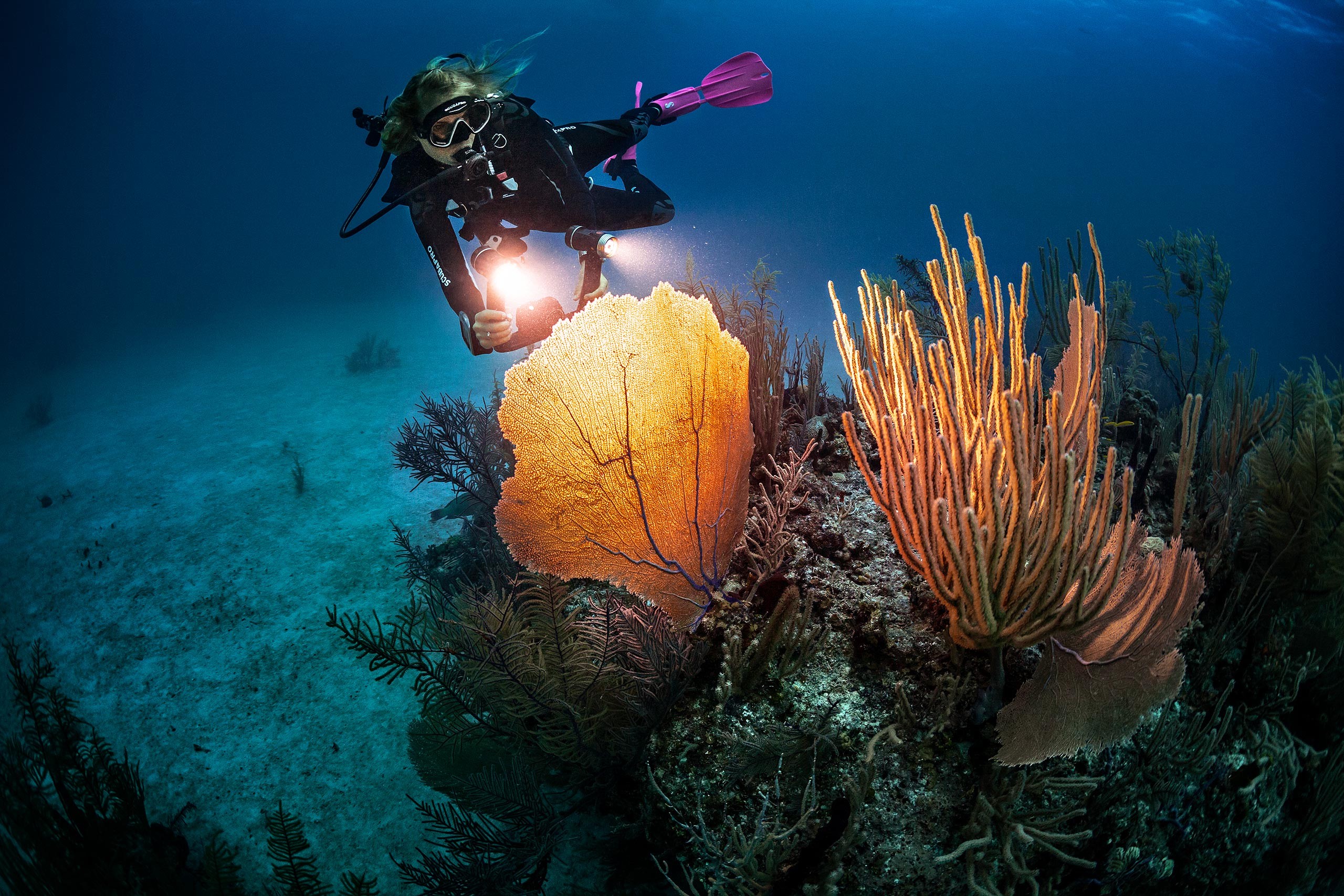 Agency: Swanson Russell | Client: Scubapro