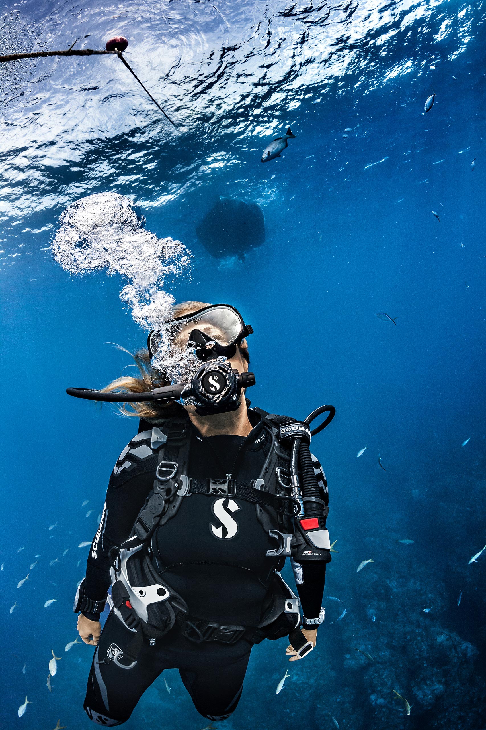 Agency: Swanson Russell | Client: Scubapro