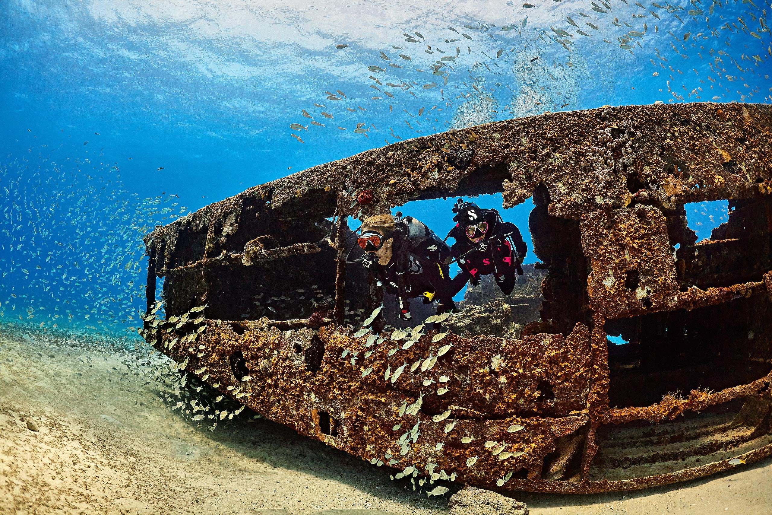 Agency: Swanson Russell | Client: Scubapro