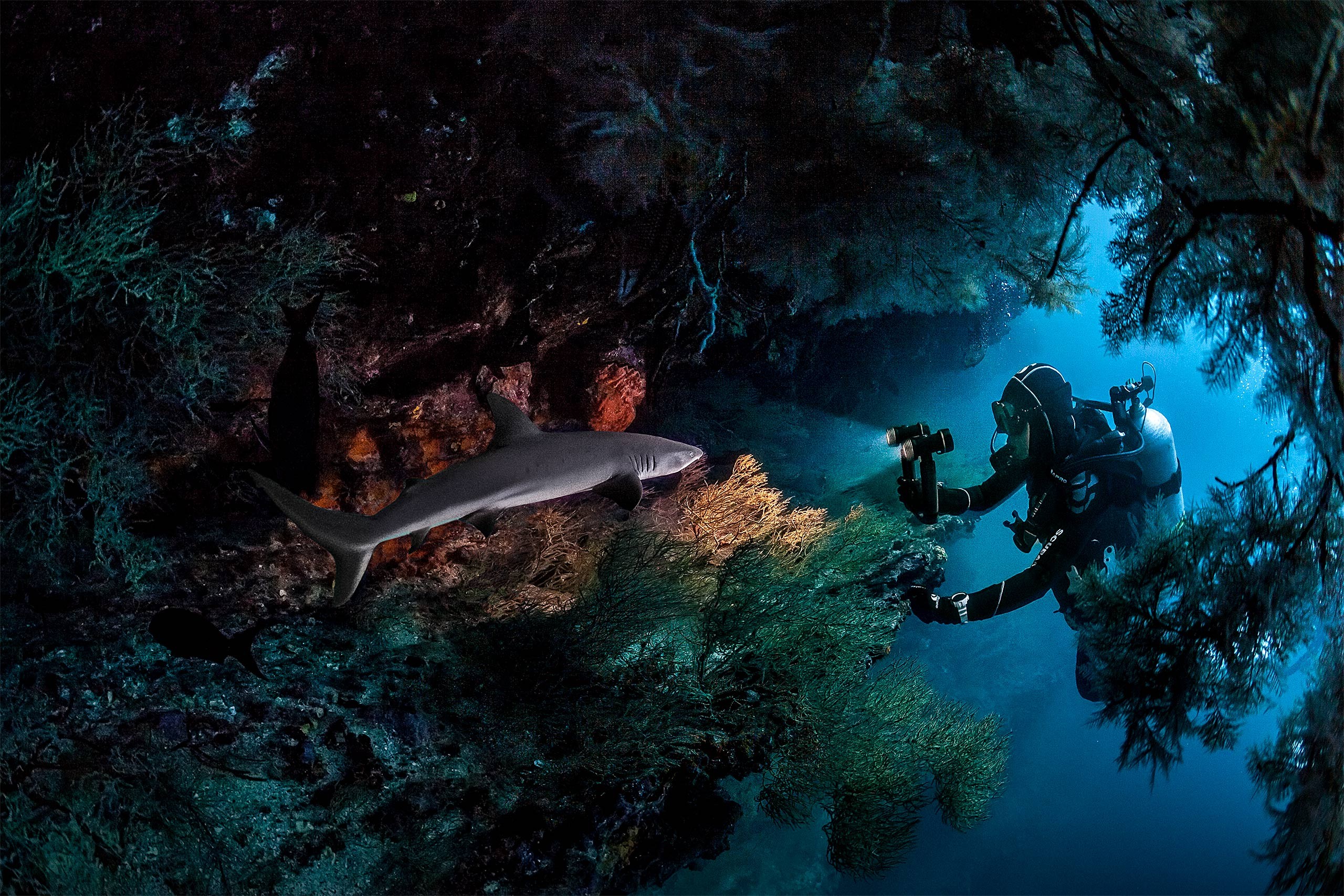 Agency: Swanson Russell | Client: Scubapro