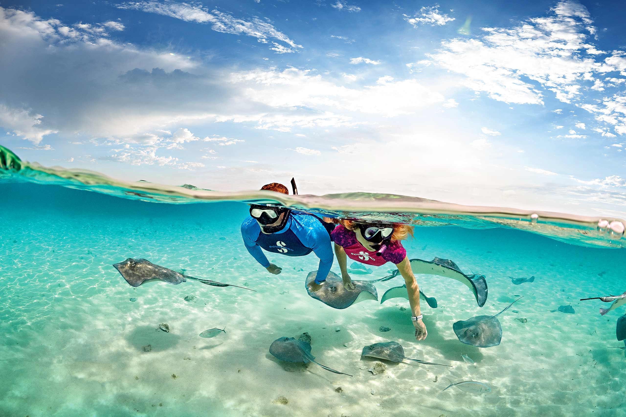 Agency: Swanson Russell | Client: Scubapro