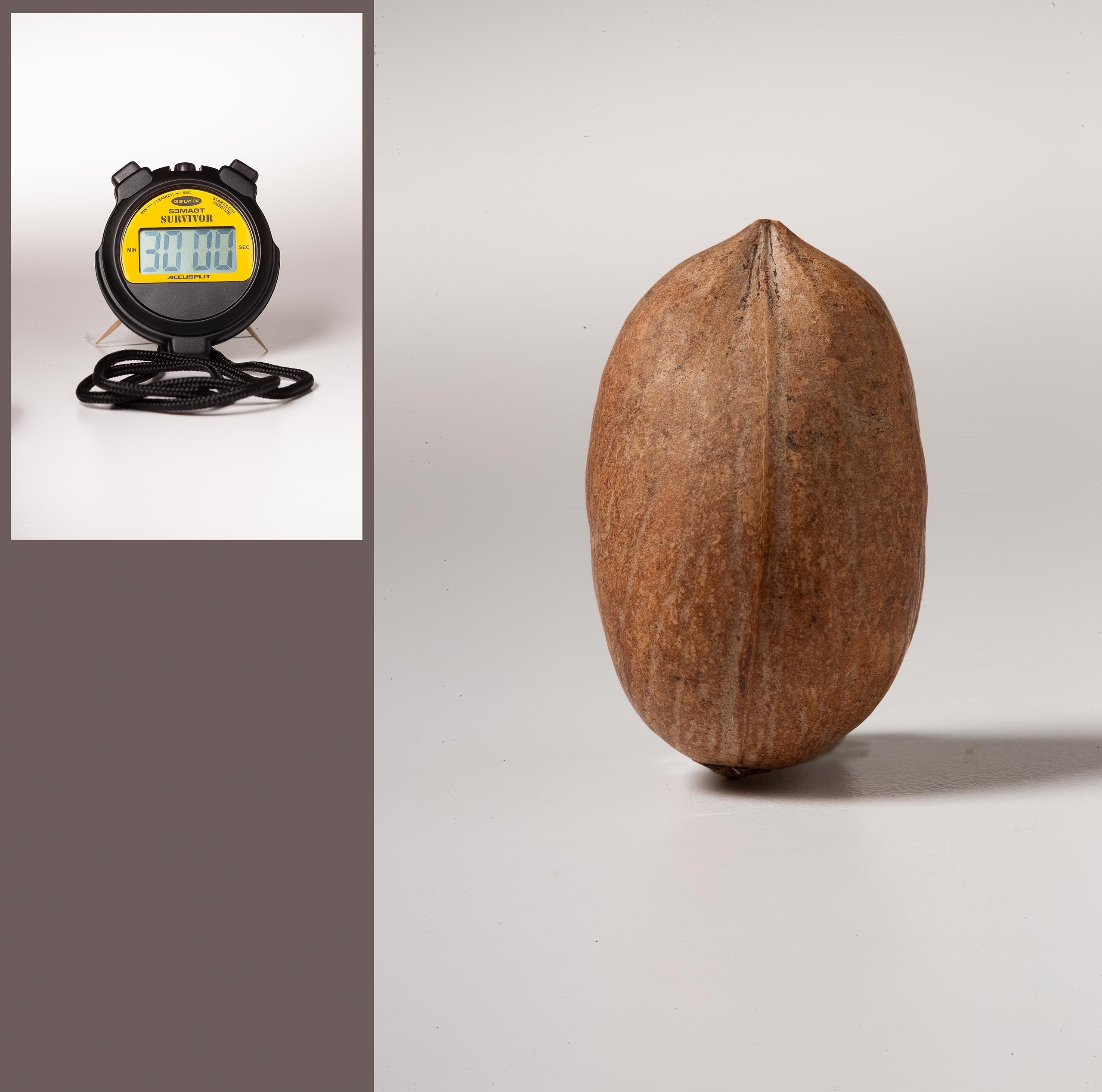 PecanStopwatch_03_LB_Before.jpg