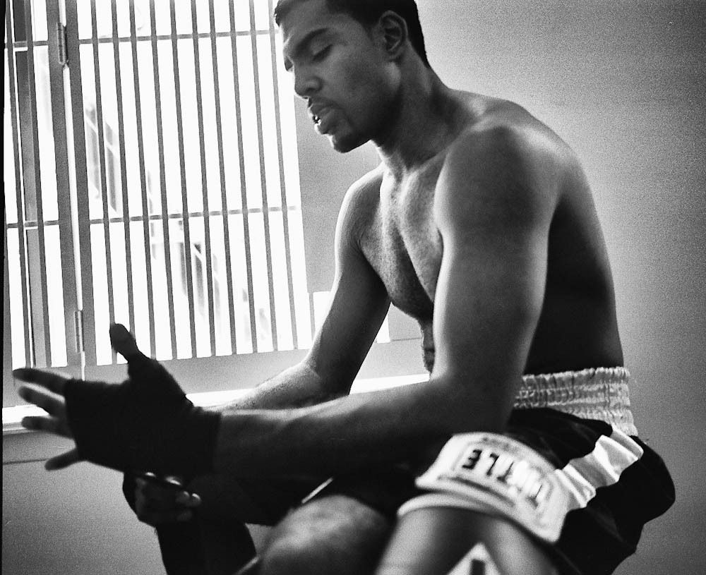 Boxer Portrait - Micha warren