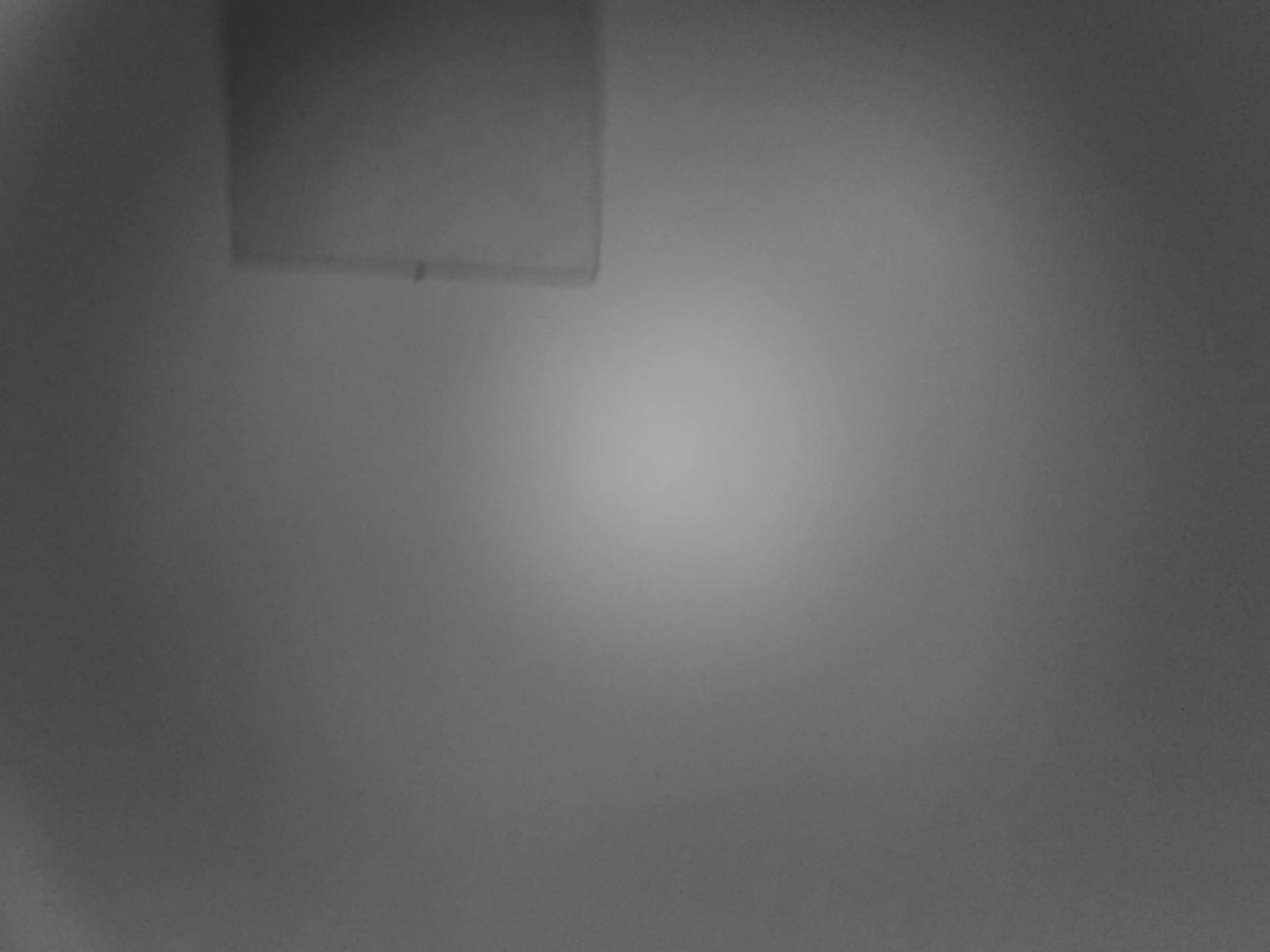 " blank" - from the series The Hunt produced during the Antoine D'Agata workshop in Berlin The Hunt – Micha Warren & Antoine D’Agata Workshop