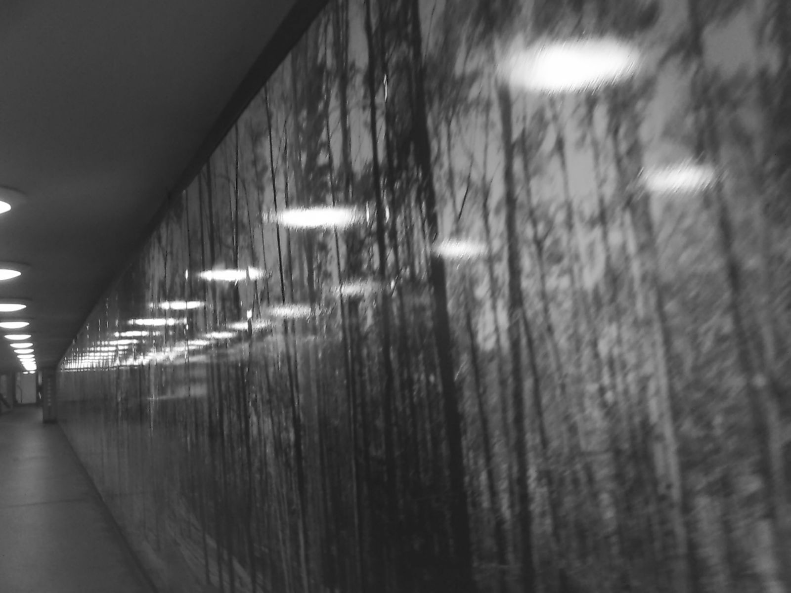 " urban forest" - from the series The Hunt produced during the Antoine D'Agata workshop in Berlin The Hunt – Micha Warren & Antoine D’Agata Workshop