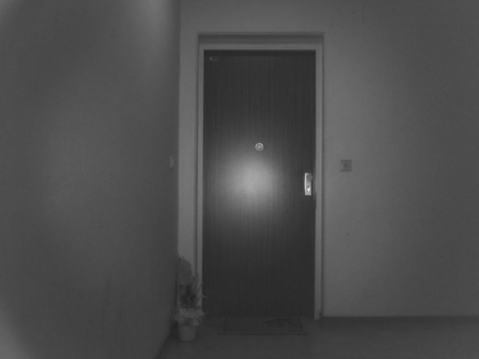 "secret door" - from the series The Hunt produced during the Antoine D'Agata workshop in Berlin The Hunt – Micha Warren & Antoine D’Agata Workshop