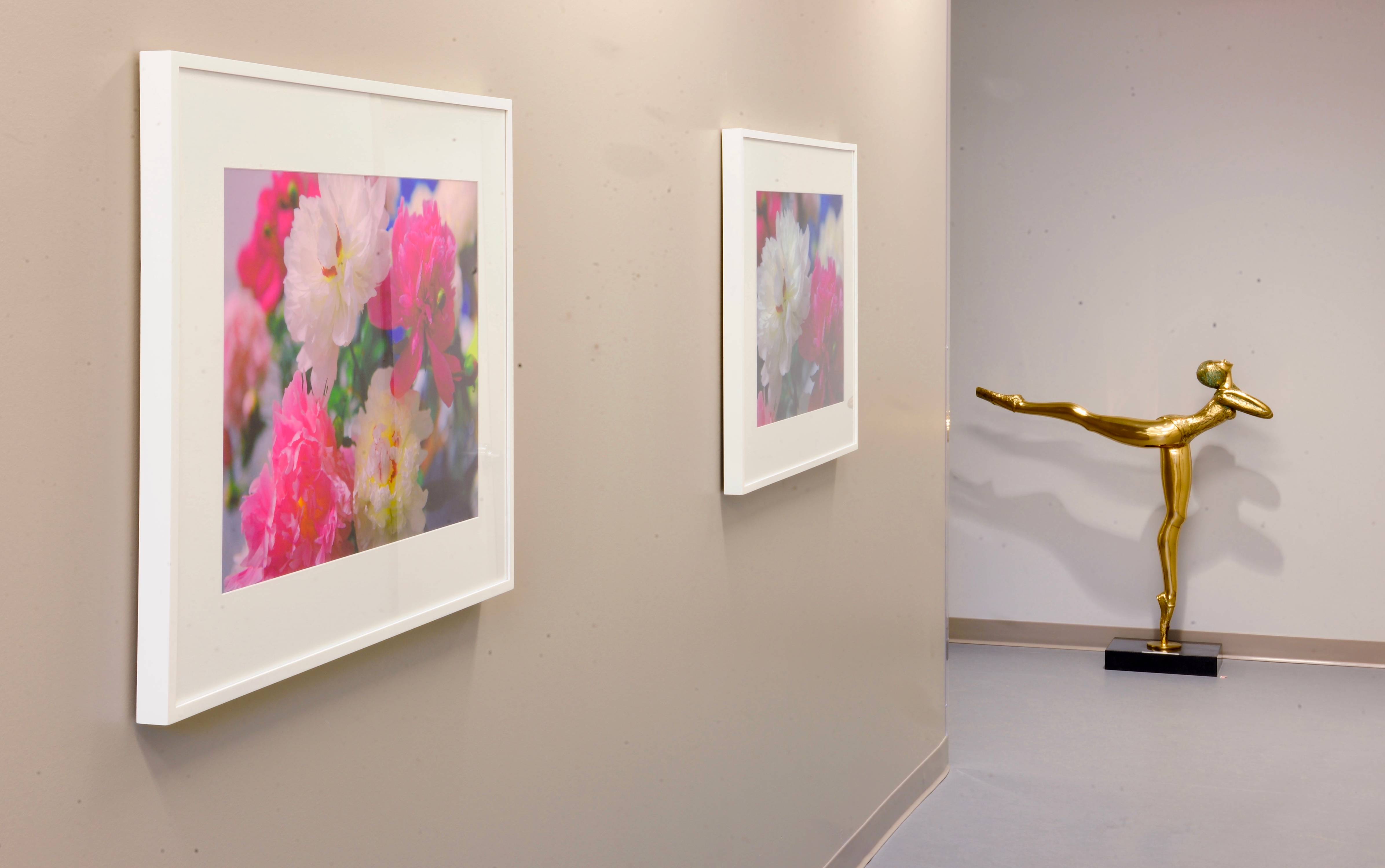 hall dancer_0004766.jpg