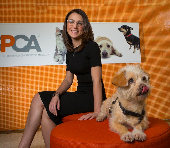 Jamie Scotto, ASPCA