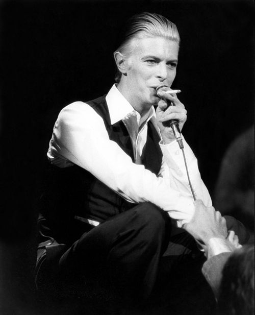 Bowie#1.jpg