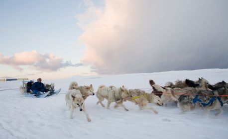 1r200611_greenland0839