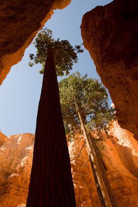 1r20081010_escalante0564