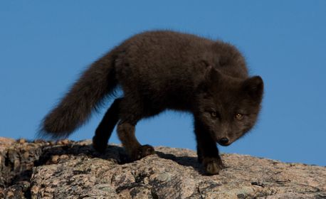 1r20070828_greenland3910