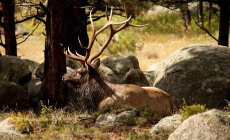 1r20080912_rkymtnntnlpk0007