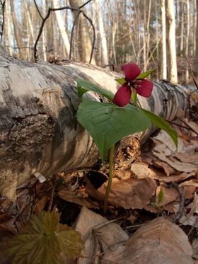 1r200904_ogeretreat0122