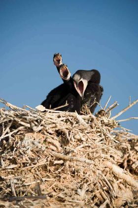 1r200607_mongolia1299