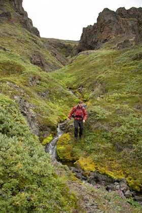 1r20070826_greenland3190