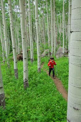 1r201106_maroonbells0805