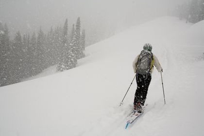 1r200603_jacksonhole086