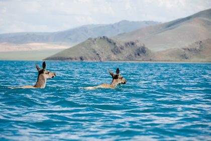 1r200607_mongolia1555