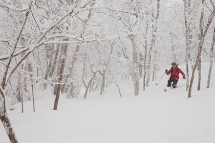 1r201102_stevensvilleski0086