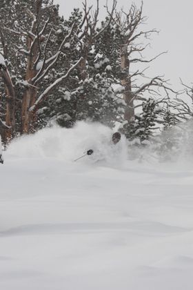 1r200801_solitude0054