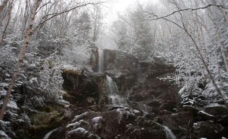 1r20061118_wrightalgonquin00002