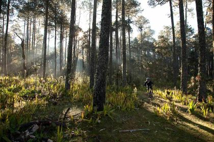 1r201010_pueblosmancomunados0362