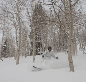 1r200801_solitude0114