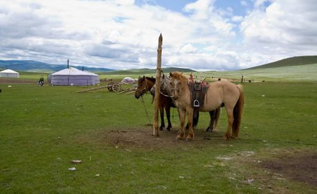 1r200607_mongolia0954