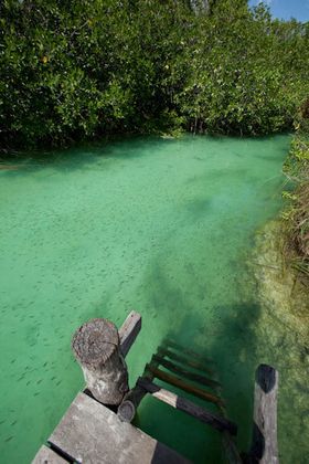 1r201010_siankaan0068