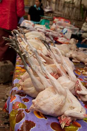 1r200912_laosmekong0095