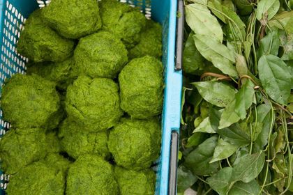 1r200912_laosmekong2153