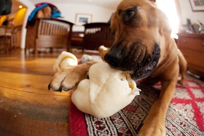 1r201012_embersbone0016