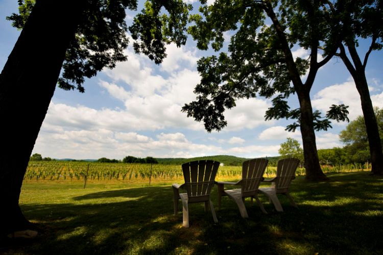 1r2010_0621_sf_cruzedc082