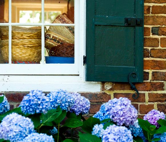 1r2010_0621_sf_cruzedc052